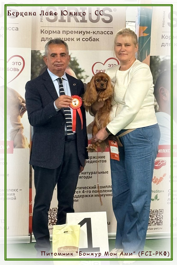 питомник Бонжур Мон Ами (СПб)