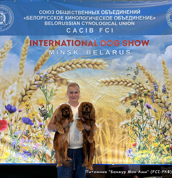 питомник Бонжур Мон Ами (СПб)